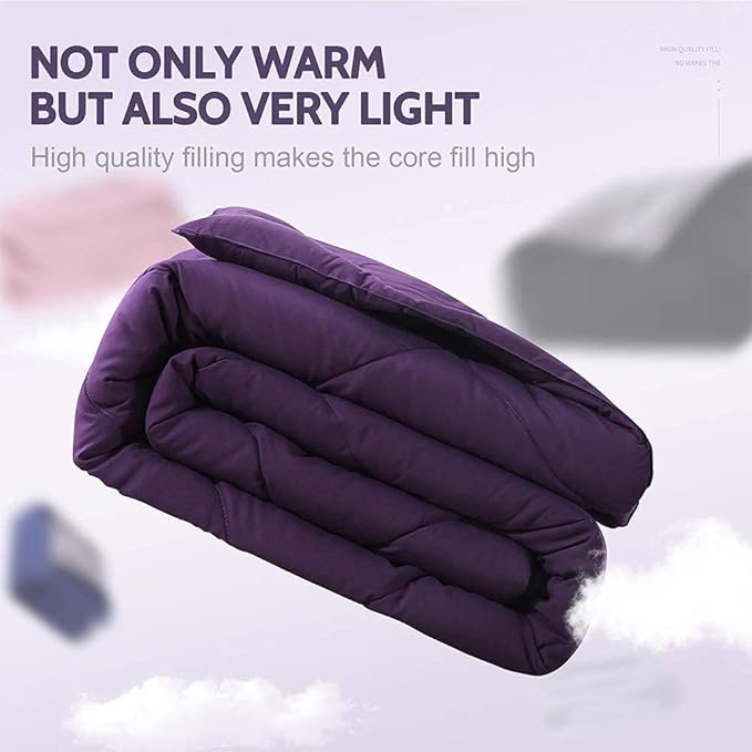 Decroom Lightweight Queen Comforter Set with 2 Pillow Sham - 3 Pieces Set - Quilted Down Alternative Comforter/Duvet Insert for All Season - Purple - Queen Size