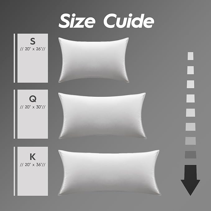 Globon Ultra Soft Down Pillow Queen Size Set of 2, All Down Filled Bed Pillow for Sleeping, 100% Cotton Shell 500 Thread Count 700 Fill Power, Soft Hotel Collection Down Feather Pillow 20" x 30"