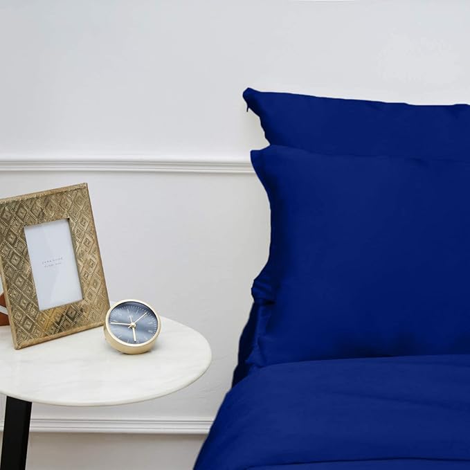 INSSL Silk Pillowcase fr Women, Mulberry SIL Pillowcase for Hair and Skin and Stay Comfortable and Breathable During Sleep(Egyptain Blue,King)