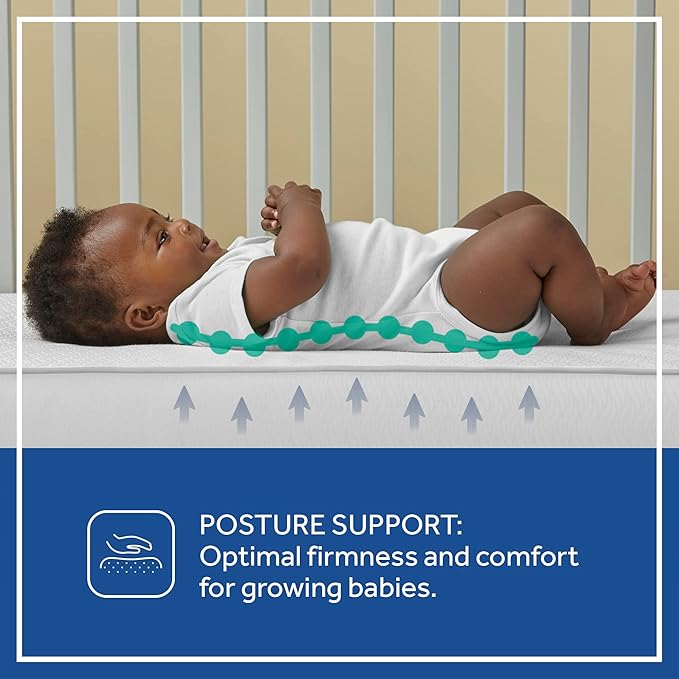 Sealy Baby Butterfly Posture Support Waterproof Crib Mattress Plus Toddler Bed Fit, Premium American Foam, Non Toxic, GREENGUARD Gold Certified, Safety & Quality Tested, Made in USA, 52"X28"