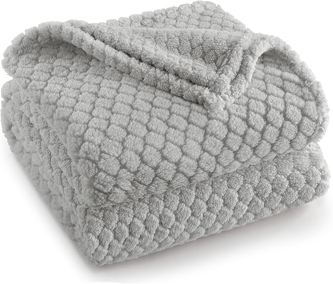 Exclusivo Mezcla Twin Size Fleece Blanket for Bed, Extra Soft Warm Decorative Fuzzy Blanket for Women, Lightweight Cozy Bedding Blankets, 60x80 Inches, Light Grey