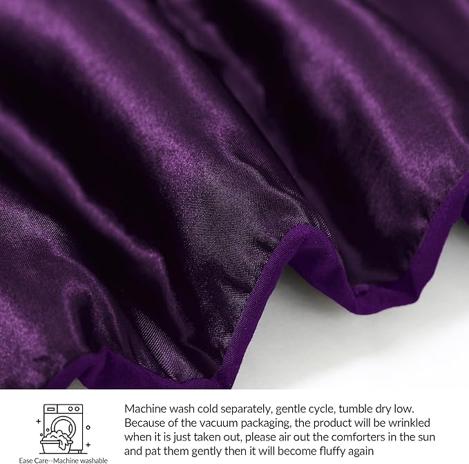 Whale Flotilla 3-Piece Reversible Silky Soft King Size Comforter Bedding Set, Luxurious Satin Comforters Oversized with 2 Satin Pillowcases, Lightweight Duvet for All Seasons, Purple