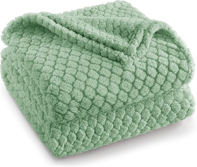 Exclusivo Mezcla Twin Size Fleece Blanket for Bed, Extra Soft Warm Decorative Fuzzy Blanket for Women, Lightweight Cozy Bedding Blankets, 60x80 Inches, Sage Green