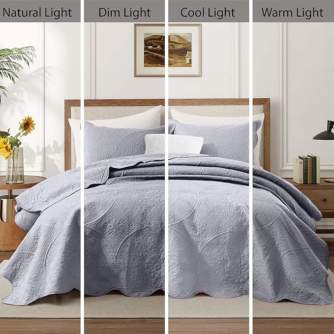 IR Imperial Rooms 10 Pack Queen Quilt Bedding Set (90" x 96") - Bulk Wholesale for Hotels, Guest Bedroom & Airbnbs - Lightweight Microfiber Reversible Floral Embossed Quilts Bedspreads (Silver)