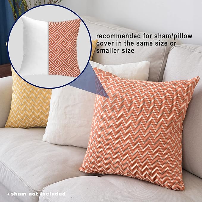 HITO 18x18 Pillow Inserts (Set of 2) - Down Alternative 100% Cotton Cover Decorative Square Throw Pillows White for Couch Bed Sofa