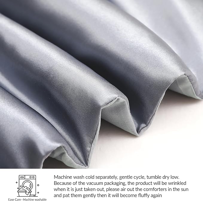 Whale Flotilla 2-Piece Reversible Silky Soft Twin Size Comforter Bedding Set, Luxurious Satin Comforters with Satin Pillowcase, Lightweight Duvet for All Seasons, Grey