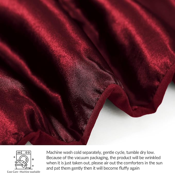 Whale Flotilla 2-Piece Reversible Silky Soft Twin Size Comforter Bedding Set, Luxurious Satin Comforters with Satin Pillowcase, Lightweight Duvet for All Seasons, Red