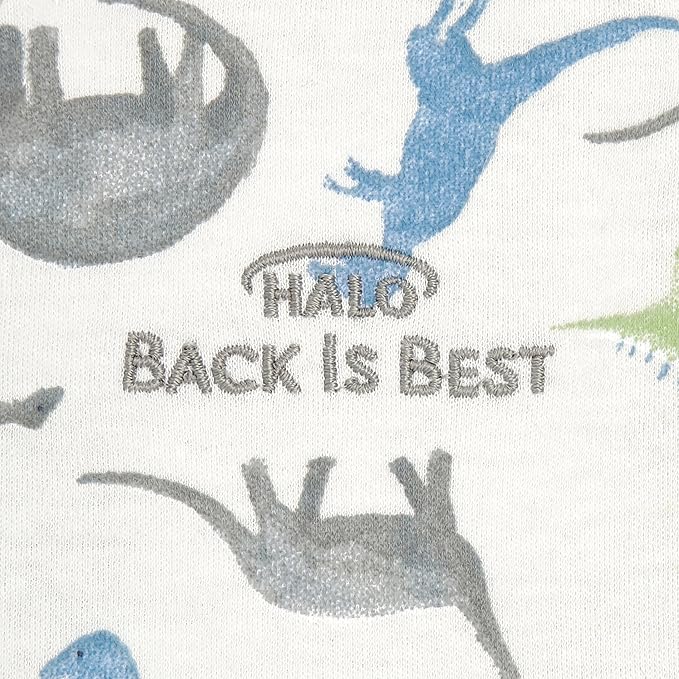 HALO SleepSack, 100% Cotton Wearable Blanket, Swaddle Transition Sleeping Bag, TOG 0.5, Watercolor Dinos, Large, 12-18 Months