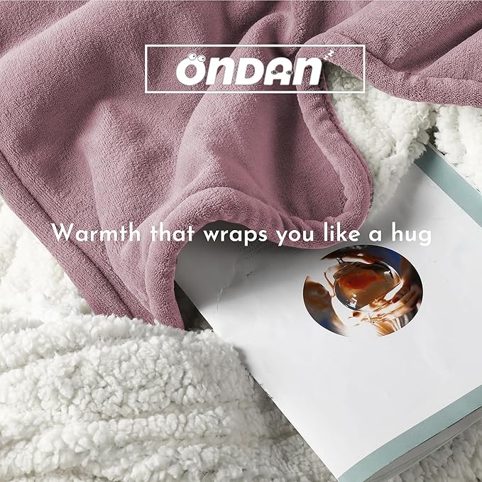 Electric Heated Blanket 84"x90" Queen Size Microplush Cover Blanket, 4 Heat Settings & 10 Hours Auto Off, Cozy & Warm for All Night, Machine Washable,Berry