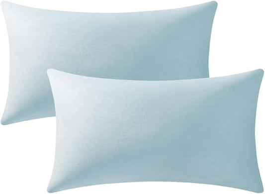 Lumbar Pillow Covers 12x20 Light-Blue: Pack of 2 Cozy Soft Velvet Rectangular Modern Luxury Decorative Throw Pillow Cases for Sofa Couch Living Room Bed Home Decor