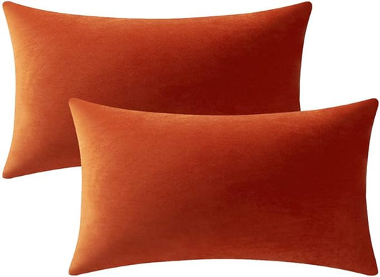 Lumbar Pillow Covers 12x20 Burnt Orange: Pack of 2 Cozy Soft Velvet Rectangular Modern Luxury Decorative Throw Pillow Cases for Sofa Couch Living Room Bed Home Decor
