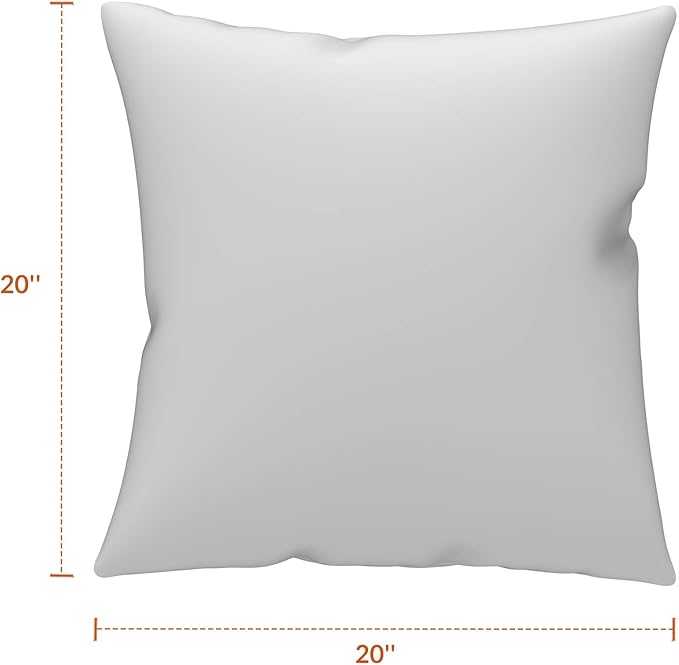 Covers & All Sunbrella Outdoor Throw Pillows, Pack of 2 Water Resistant & UV Fade Resistant Premium Square Throw Pillows (Inserts with Covers) for Indoor & Outdoor Use,20" x 20" Spectrum Graphite