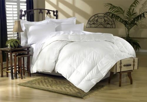 4 Piece Luxurious 1000 Thread Count Queen Size Siberian Goose Down Comforter Set 100% Egyptian Cotton, Blue Stripe Color, 1000 TC - 750FP - 50Oz.