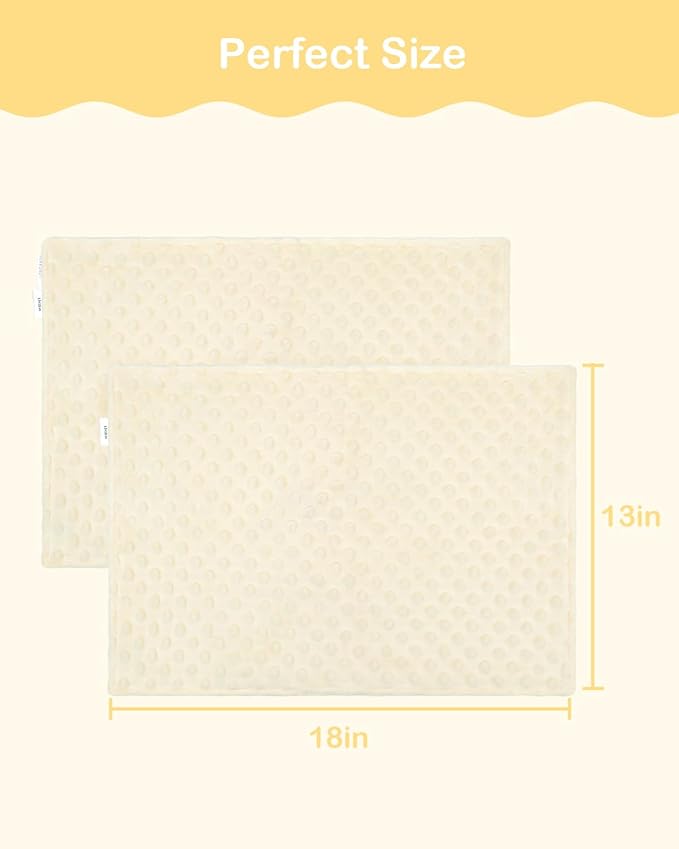 ALVABABY Toddler Pillowcase Kids Pillow Cover Polyester Bean Velvet Soft Warm 2 Pack Fit 13"x 18" or 12"x16" Envelope for Girl Boy Sleepy Travel 2TPD02A