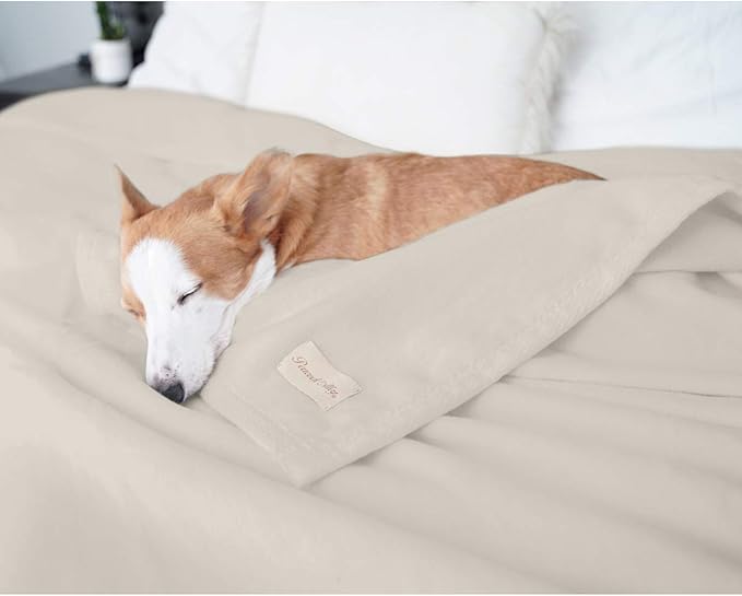 Peacock Alley All Seasons Luxury Cotton Blanket – 100% Long Staple Cozy Cotton Blanket for Sofa, Bed, and Crib - Queen, Flint