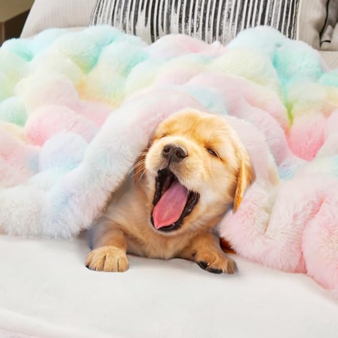 DREAMNINE Large Colorful Soft Fluffy Bubble Faux Rabbit Fur Blanket Full Size 70" x 80", Luxury Double Sided Big Thick Fuzzy Bed Blankets, Cute Warm Cozy Plush Comfy Furry Blanket for Winter, Rainbow