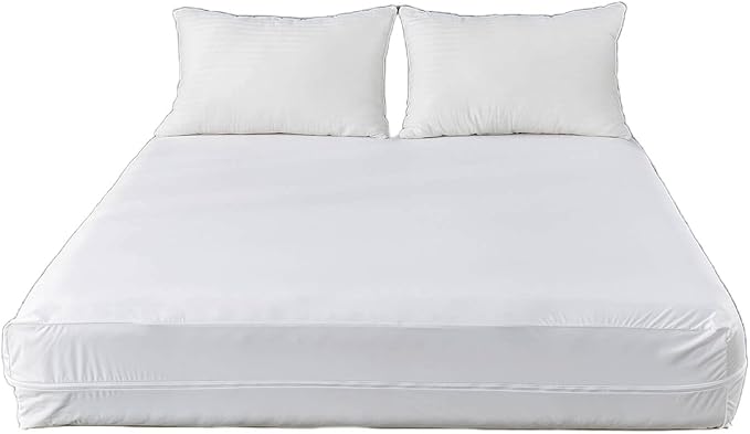 Kingnex 60x72x6 Zippered Sleeper Sofa Queen Mattress Encasement Cover Waterproof 6 Sided Mattress Protector for Sofa Bed