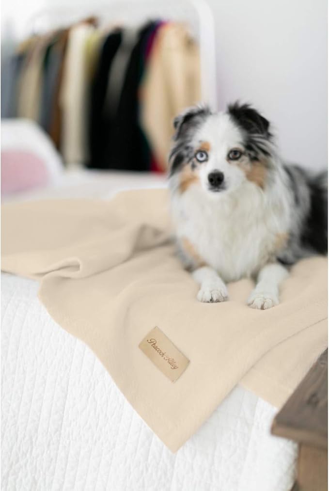 Peacock Alley All Seasons Luxury Cotton Blanket – 100% Long Staple Cozy Cotton Blanket for Sofa, Bed, and Crib - Twin/Twin XL, Linen