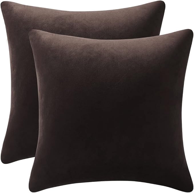 Throw Pillow Covers 20x20 Chocolate Brown: Pack of 2 Cozy Soft Velvet Square Modern Luxury Decorative Throw Pillow Cases for Sofa Couch Living Room Bed Home Decor
