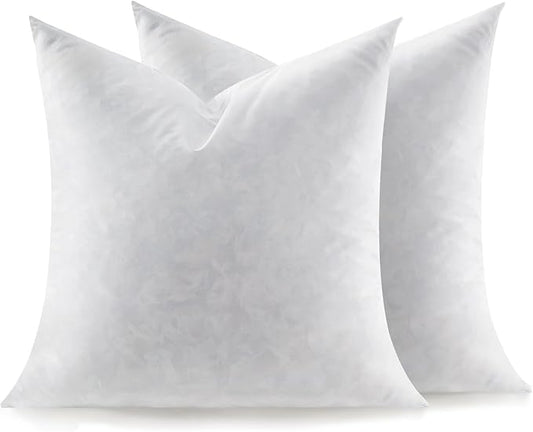 Feather Throw Pillow Inserts Set of 2, Soft Fluffy Square 20 x 20 Inches Decorative Pillow Insert, Feather and Down Filled Euro Pillows