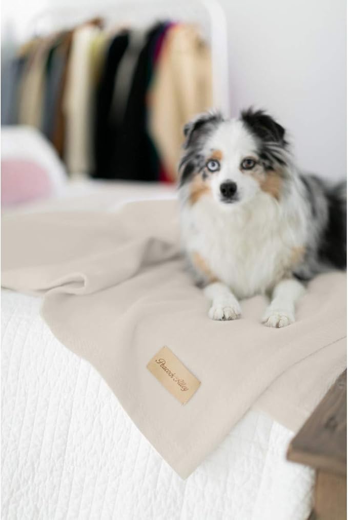 Peacock Alley All Seasons Luxury Cotton Blanket – 100% Long Staple Cozy Cotton Blanket for Sofa, Bed, and Crib - Twin/Twin XL, Flint