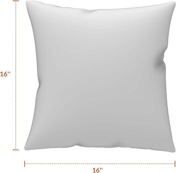 Covers & All Sunbrella Outdoor Throw Pillows, Pack of 2 Water Resistant & UV Fade Resistant Premium Square Throw Pillows (Inserts with Covers) for Indoor & Outdoor Use,16" x 16" Cast Mist
