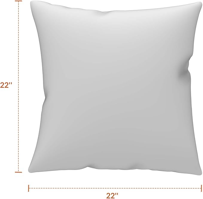 Covers & All Sunbrella Outdoor Throw Pillows, Pack of 2 Water Resistant & UV Fade Resistant Premium Square Throw Pillows (Inserts with Covers) for Indoor & Outdoor Use,24" x 24" Spectrum Graphite