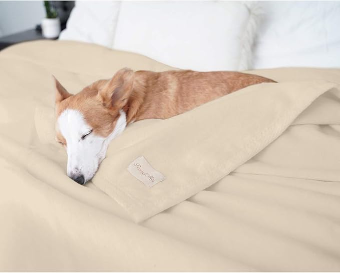 Peacock Alley All Seasons Luxury Cotton Blanket – 100% Long Staple Cozy Cotton Blanket for Sofa, Bed, and Crib - King, California King, Linen