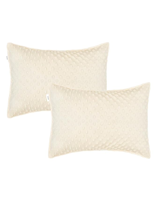 ALVABABY Toddler Pillowcase Kids Pillow Cover Polyester Bean Velvet Soft Warm 2 Pack Fit 13"x 18" or 12"x16" Envelope for Girl Boy Sleepy Travel 2TPD02A