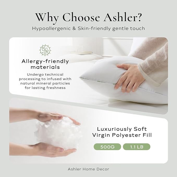 Ashler Home Deco Throw Pillow Inserts (Pack of 4, 20 x 20 Inches, White) - Hypoallergenic 100% Virgin Fiber Square Form Microfiber Throw Pillows for Bed and Couch Pillows | Indoor Decorative Pillow