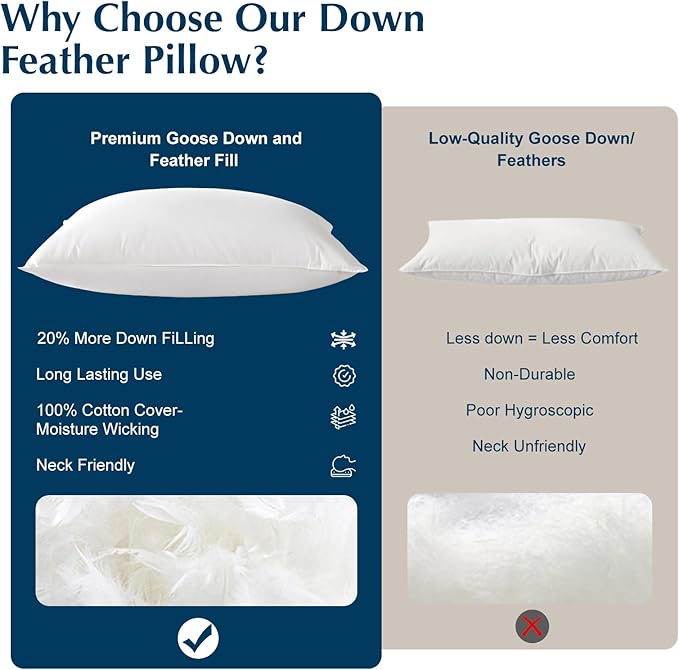 Luxury Goose Feather Down Pillow, 3-Chamber 5 Star Hotel Pillow for Deep Sleep, Soft Bed Pillows for Neck Pain Relief, Perfect for Side, Back Sleepers, 100% Cotton Shell (1 Pack,Queen(20"x30"))