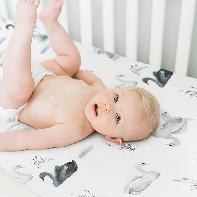 Stretch Ultra Soft Jersey Knit Fitted Crib Sheets Set 2 Pack, Fits All Standard Crib Mattress Pads Safe and Snug, Crib Fitted Sheet for Baby, Pretty Swan/Watercolor Dandelion for Baby