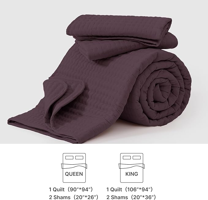 WRENSONGE Queen Quilt-3 Pieces Lightweight Bedspreads Italian Plum Queen Size Quilt Bedding Set for All Seasons, Soft Summer Coverlet with 2 Pillow Shams Suitable for Bed, Couch