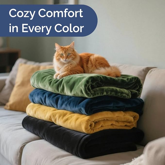 Ultra Soft Fleece Blanket Queen Size - Flannel Fleece Luxury Queen Blanket - Lightweight for Couch Bed Chair - Thick, Warm & Breathable - All Season Cozy Fuzzy Anti-Static Microplush Bedding, Turqoise