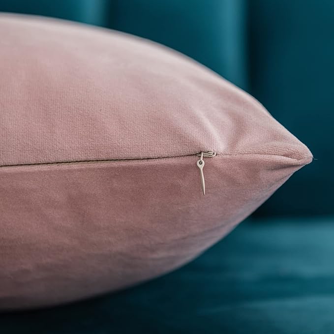 Throw Pillow Covers 20x20 Pink: Pack of 2 Cozy Soft Velvet Square Modern Luxury Decorative Throw Pillow Cases for Sofa Couch Living Room Bed Home Decor