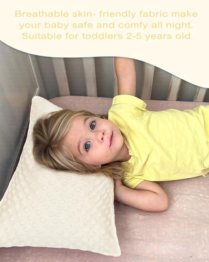 ALVABABY Toddler Pillowcase Kids Pillow Cover Polyester Bean Velvet Soft Warm 2 Pack Fit 13"x 18" or 12"x16" Envelope for Girl Boy Sleepy Travel 2TPD02A