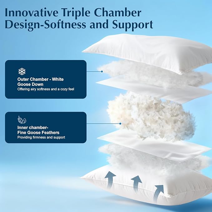 Luxury Goose Feather Down Pillow, 3-Chamber 5 Star Hotel Pillow for Deep Sleep, Soft Bed Pillows for Neck Pain Relief, Perfect for Side, Back Sleepers, 100% Cotton Shell (2 Pack,Queen(20"x30"))