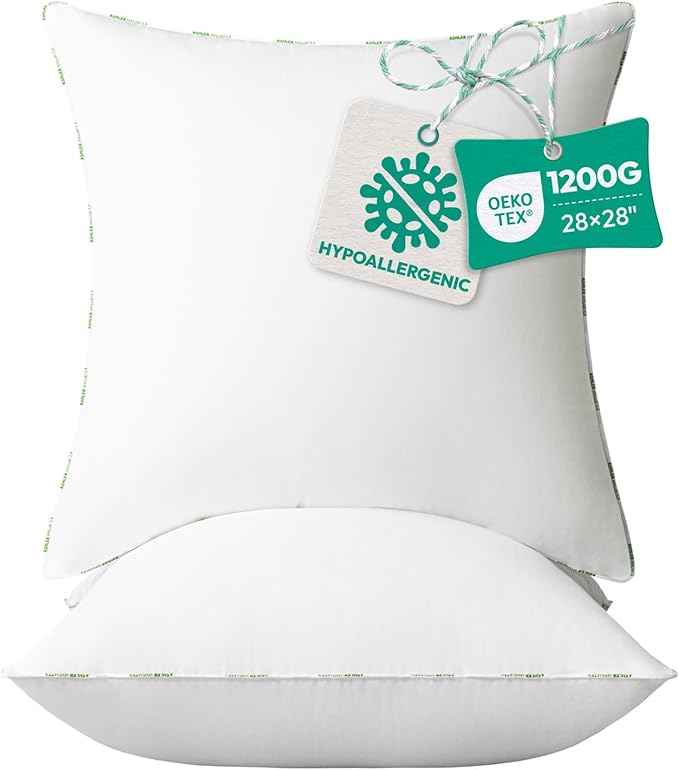 Ashler Home Deco Throw Pillow Inserts (Pack of 2, 28 x 28 Inches, White) - Hypoallergenic 100% Virgin Fiber Square Form Microfiber Throw Pillows for Bed and Couch Pillows | Indoor Decorative Pillow