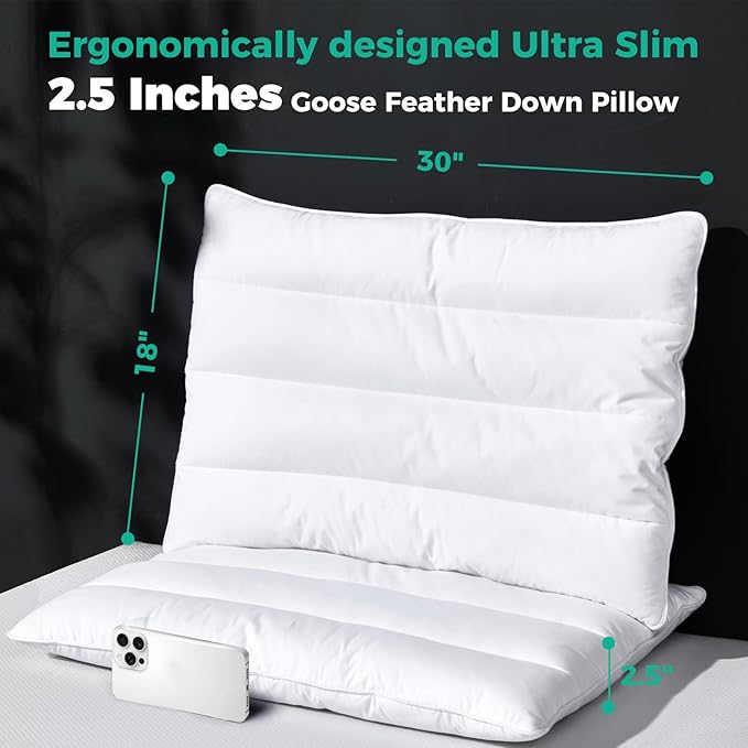 Three Geese Luxury Thin Flat Goose Feather Down Pillows Queen Size Set of 2, 2.5" Height, 100% Cotton Cover, Medium Firm Hotel Collection Ultra Slim Thin Bed Pillows, Machine Washable, 18 x 30 Inches