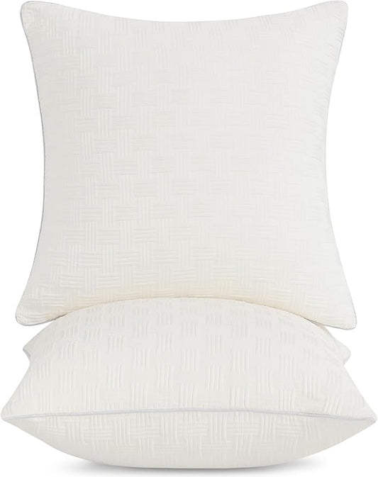 Leeden 18x18 Pillow Inserts Set of 2, Soft and Fluffy Throw Pillow Forms for Couch and Bed, 18 Inch Square Decorative Pillow Inserts, Beige