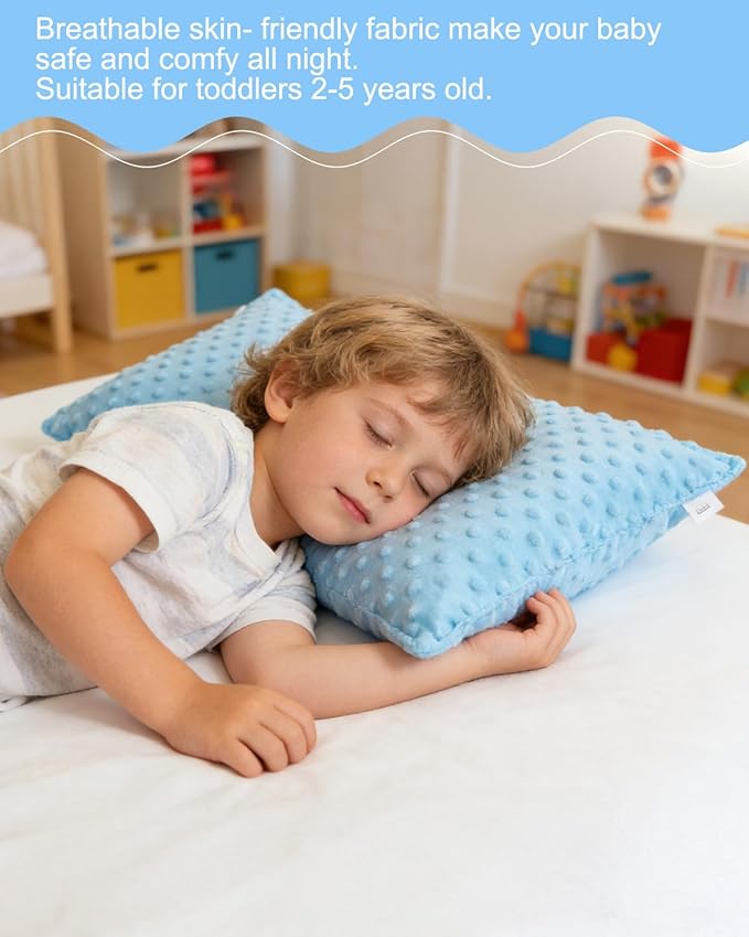 ALVABABY Toddler Pillowcase Kids Pillow Cover Polyester Bean Velvet Soft Warm 2 Pack Fit 13"x 18" or 12"x16" Envelope for Girl Boy Sleepy Travel 2TPD04A