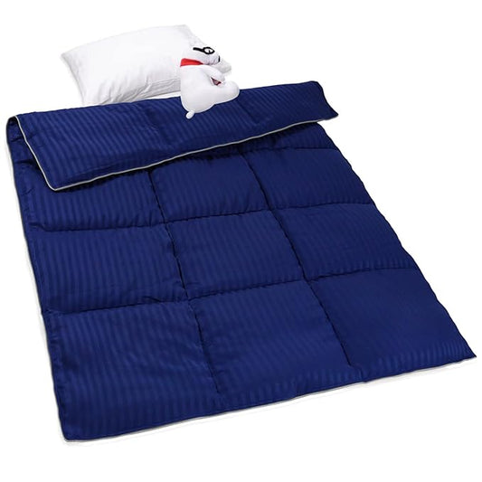 ZPECC Toddler Down Alternative Comforter, 39x47 Hypoallergenic Baby Blanket Quilt, Soft Breathable Lightweight All Season Kids Duvet Insert for Crib Stroller Cot Daycare, Blue Stripe