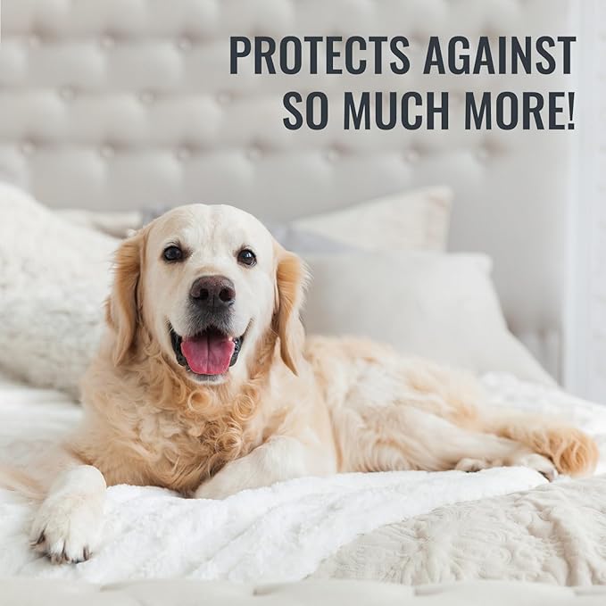 DMI Waterproof Mattress Protector and Mattress Cover, Soft, Encased Zippered Fit, Twin, Packaging may vary