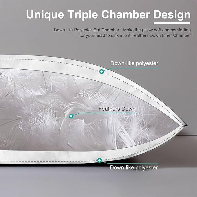 APSMILE Medium Firm Feathers Down Pillow Queen Size Pack of 1, Luxury Feathers Pillow for Sleeping, 100% Organic Cotton Cover Hotel Collection Bed Pillows for Side Sleeper (White, 20"x30")