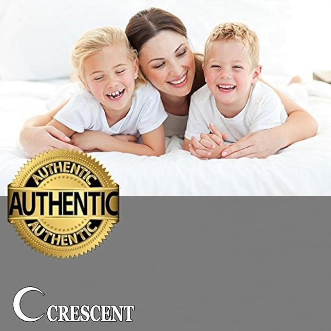 Queen Size 100% Microfiber Double Brushed Sheet Set - Extra-Soft & Wrinkle-Free - 15" Deep Pockets, 60" x 80" - Ideal for Dorms, Hospitals & Split King Beds - 4 PC Set (Queen, Gray)