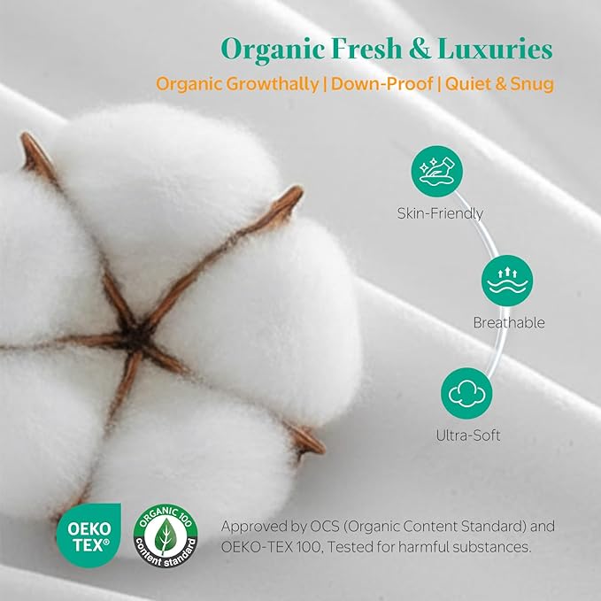 APSMILE Down Feather Throw Pillow Inserts, 20x20 Pillows Set of 2 with Organic Cotton Cover, Soft Square Decorative Pillows for Couch Living Room, Sofa, and Bed（White）