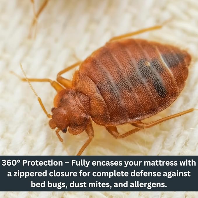 Zippered Waterproof Mattress Protector – 6-Sided Encasement, Bed Bug & Dust Mite Proof, 12” Deep Cover for Full Protection (Full)