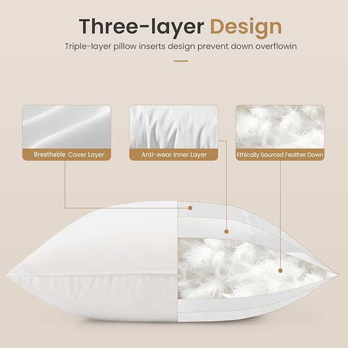 BHZ Euro Throw Pillow Inserts, 22x22 Down Feather Alternative Pillow Inserts Set of 2, Decorative Soft Large Square White Throw Pillows Insert for Couch Bed Dorm Sofa with Breathable Cover