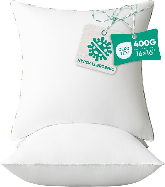 Ashler Home Deco Throw Pillow Inserts (Pack of 2, 16 x 16 Inches, White) - Hypoallergenic 100% Virgin Fiber Square Form Microfiber Throw Pillows for Bed and Couch Pillows | Indoor Decorative Pillow