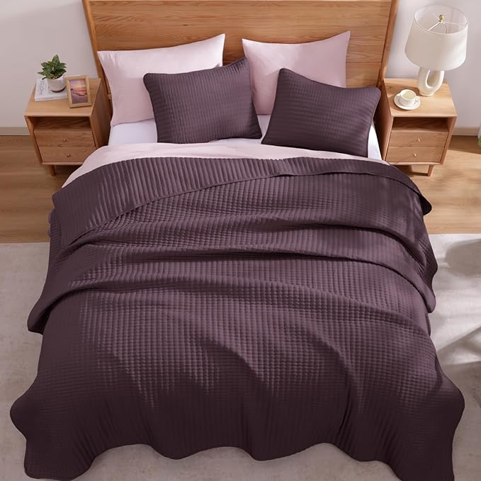 WRENSONGE Queen Quilt-3 Pieces Lightweight Bedspreads Italian Plum Queen Size Quilt Bedding Set for All Seasons, Soft Summer Coverlet with 2 Pillow Shams Suitable for Bed, Couch